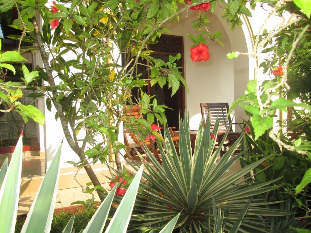 Tandem Guesthouse Hikkaduwa Exterior foto